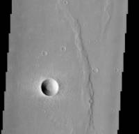 Wrinkle and young crater on Mars
