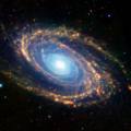 M81 in infrared